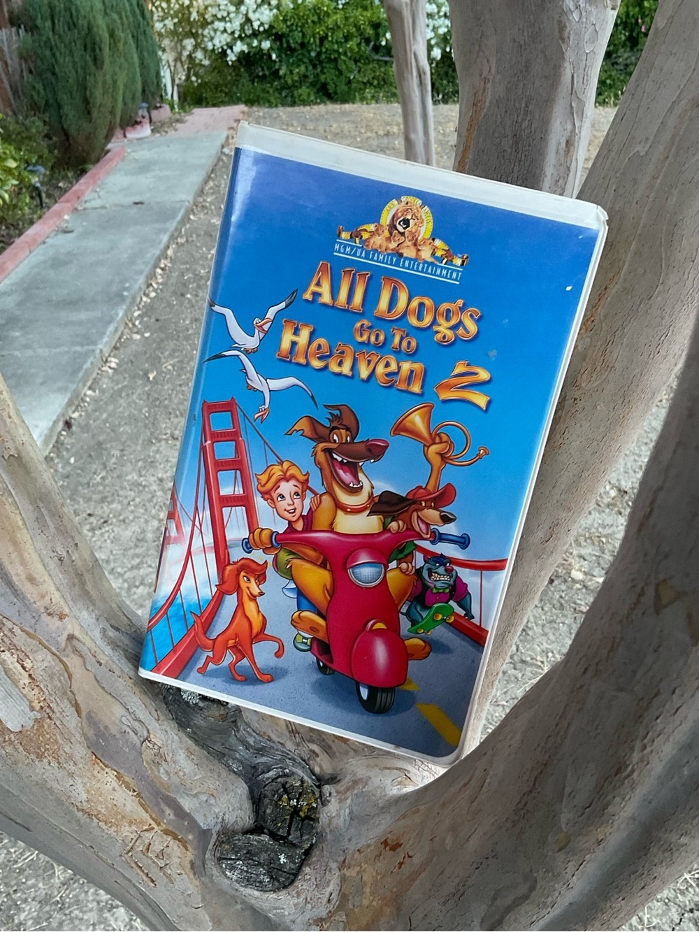 “Pre-Owned”. All Dogs Go To Heaven 2.  MGM/UA Family’s Entertainment. VHS, 1996